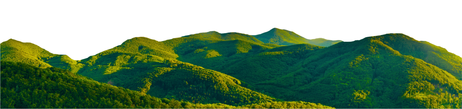 DIB Green Mountain